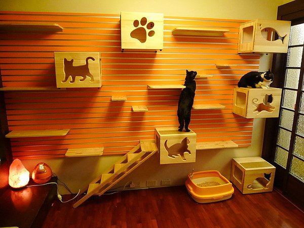 DIY cat furniture Â« Lap Leopards; The Bengal Cat.